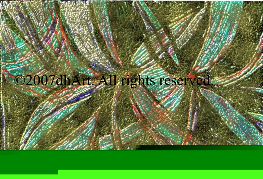 ©2007dhArt, All rights reserved by artist